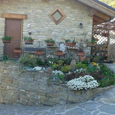 Ca D' Fefi Bed & Breakfast Gorzegno Dış mekan fotoğraf