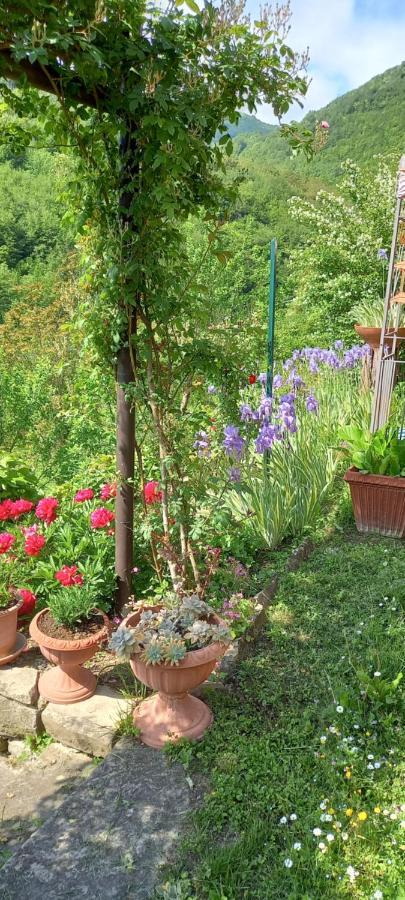 Ca D' Fefi Bed & Breakfast Gorzegno Dış mekan fotoğraf